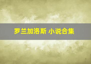 罗兰加洛斯 小说合集